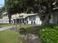 DSCN0525