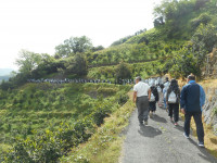 DSCN0536