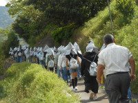 DSCN0537