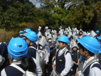 DSCN0539