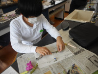 DSCN0554