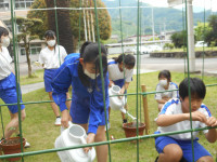 DSCN0657