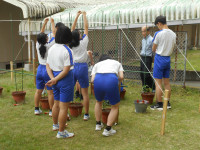 DSCN0658