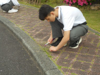 DSCN0729