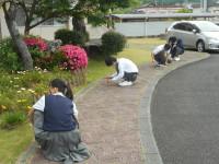DSCN0730