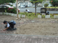 DSCN0731