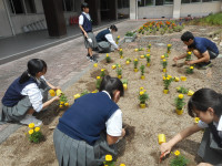 DSCN0782