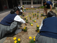 DSCN0783