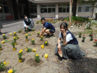 DSCN0785