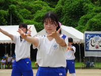 DSC08084